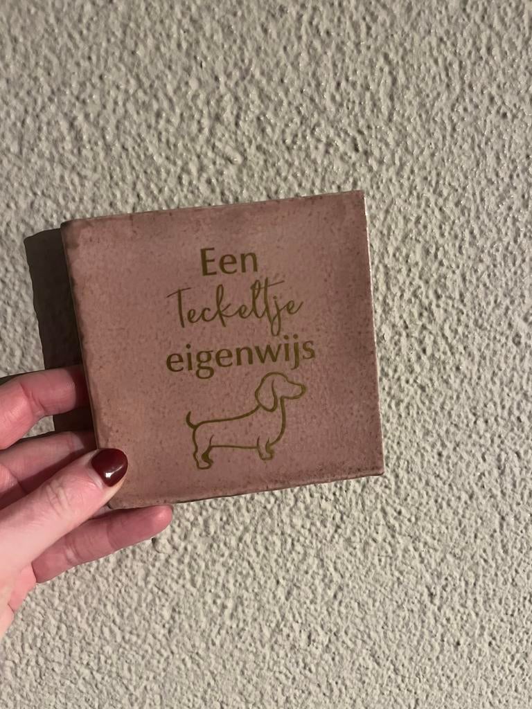 Tegeltje met tekst 10x10 teckel, Ophalen of Verzenden