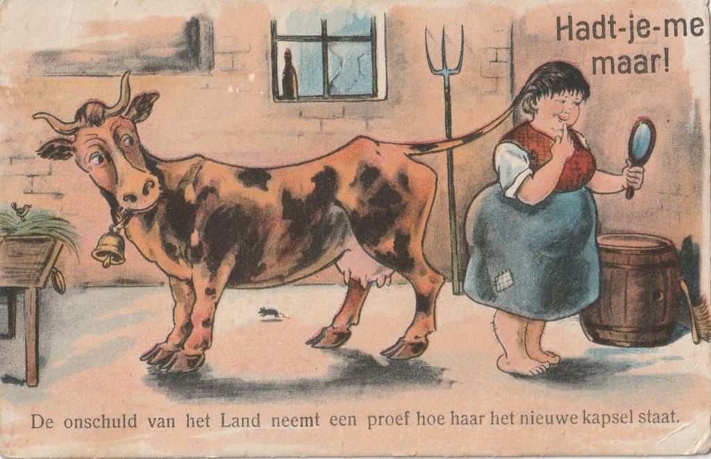 HUMOR BOERIN KOE BEGIN 1900 ZEER MOOIE OUDE KAART KN275, Ophalen of Verzenden, Voor 1920, Ongelopen, Overige thema's