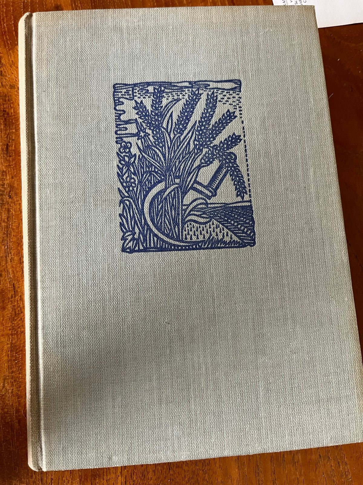 Kleine Fadette - George Sand (Nederlands), Ophalen of Verzenden, Gelezen