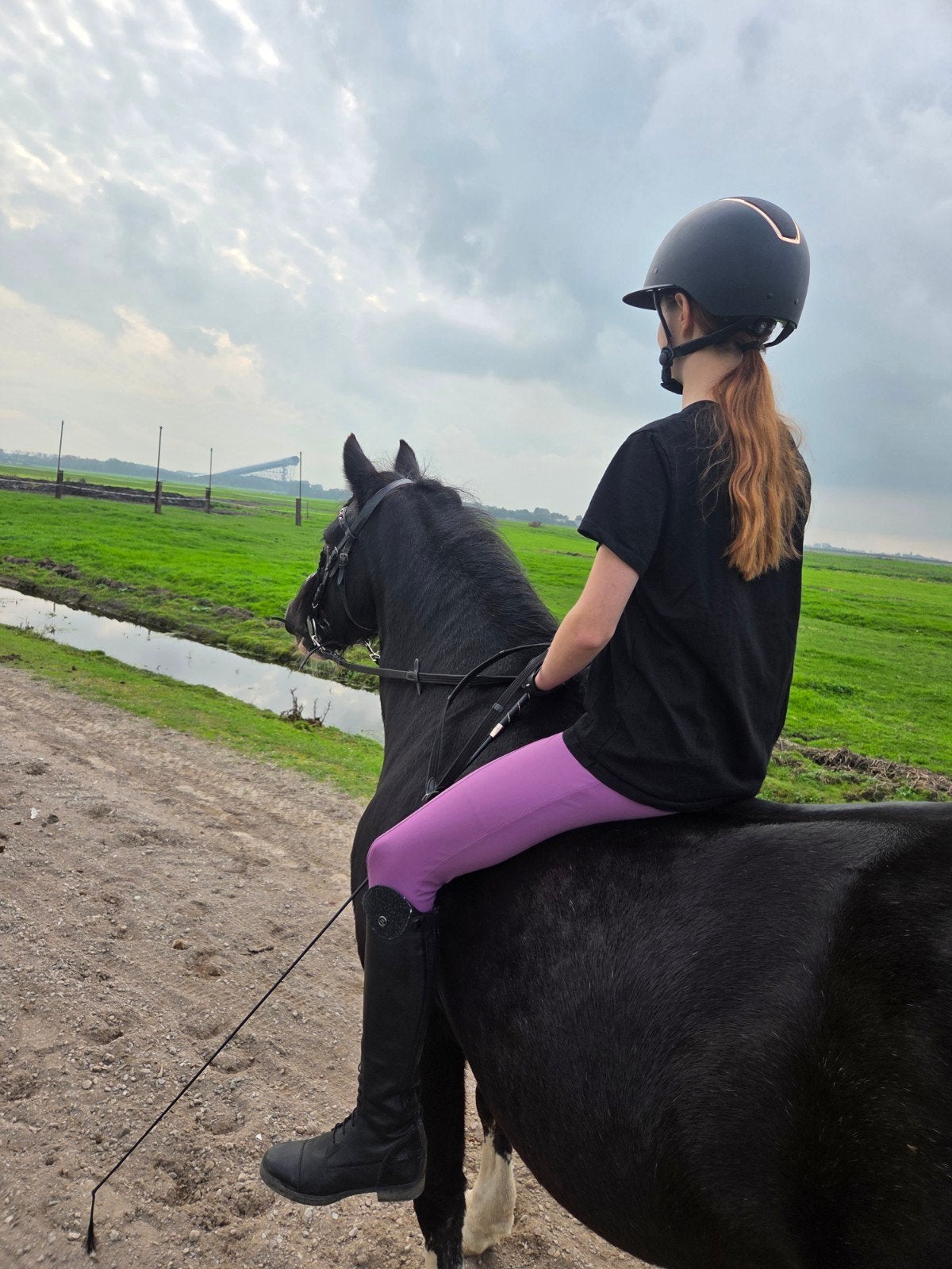 verzorg/bijrijdpony gezocht, Ophalen of Verzenden
