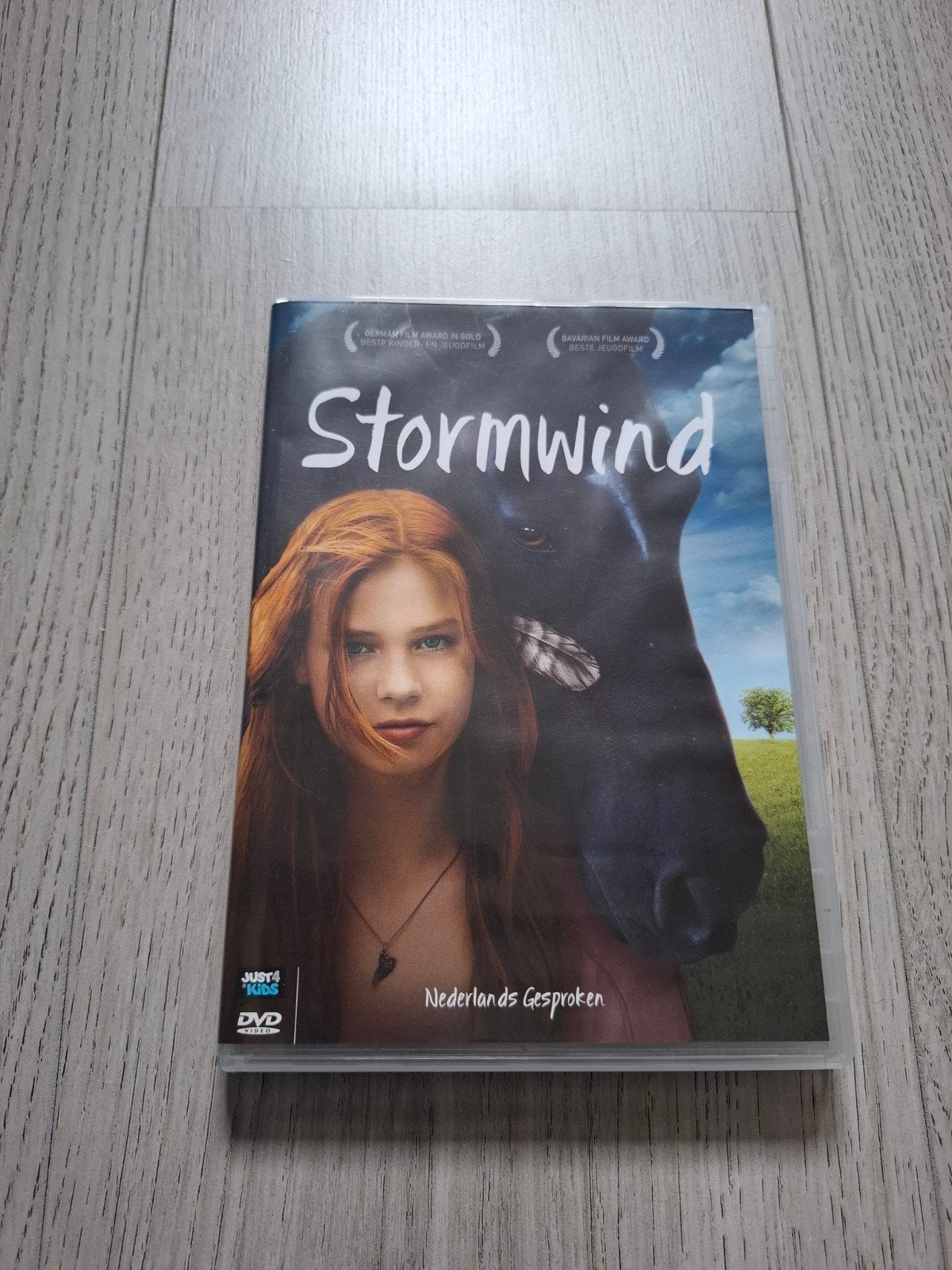 Stormwind de film, Avontuur, Vanaf 9 jaar, Zo goed als nieuw, Film