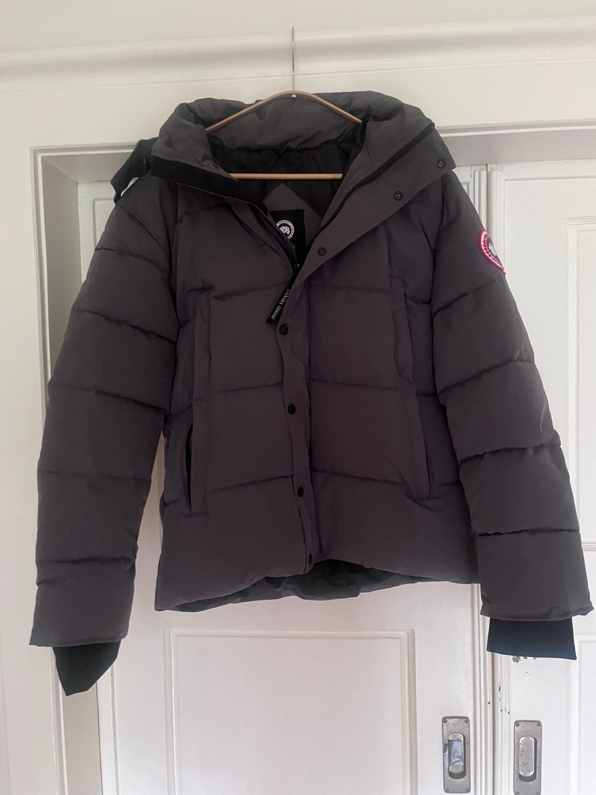 Canada goose grijs, Ophalen of Verzenden, Nieuw, Maat 52/54 (L), Grijs