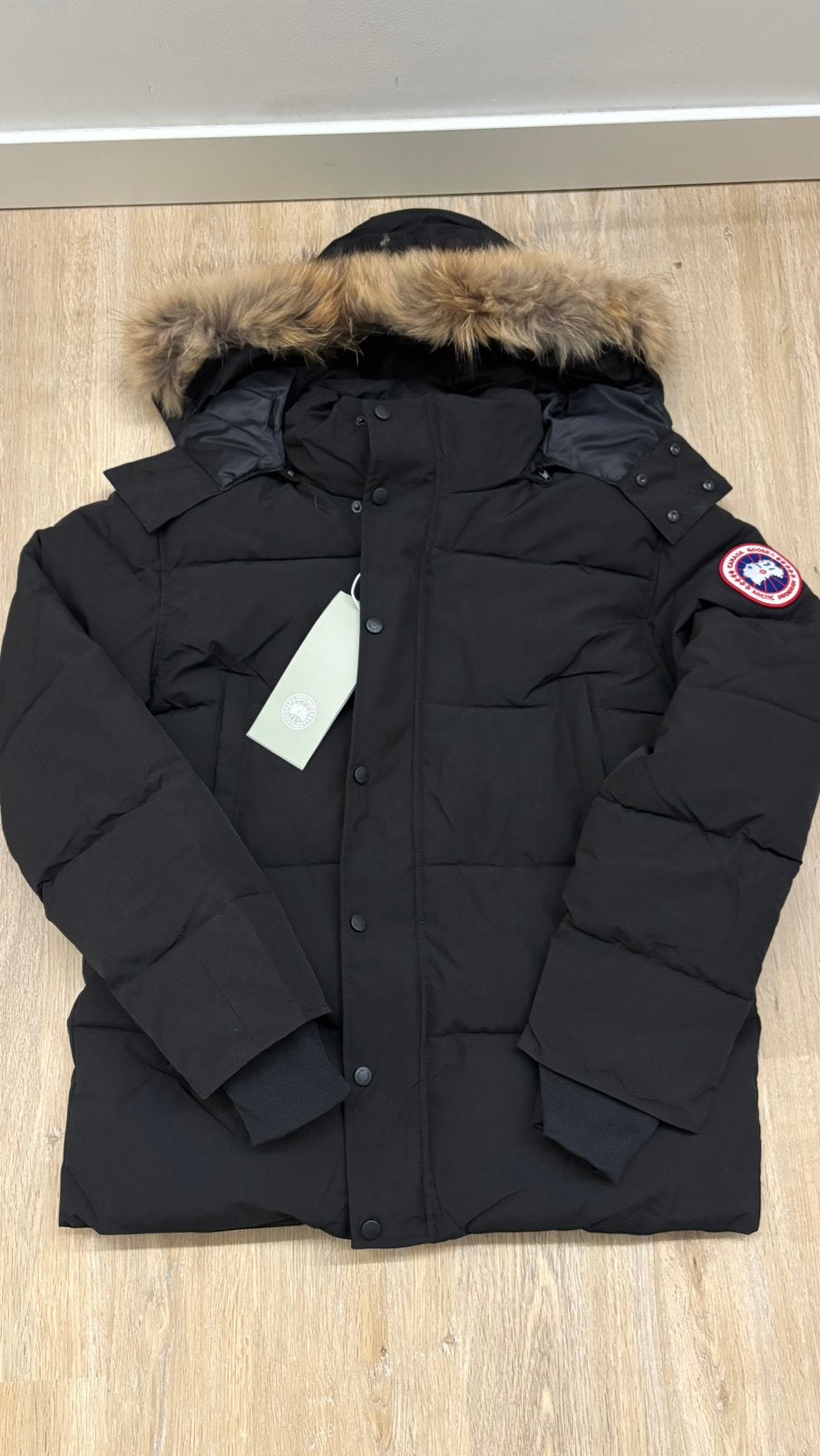 Canada goose, Verzenden, Nieuw, Maat 48/50 (M), Zwart