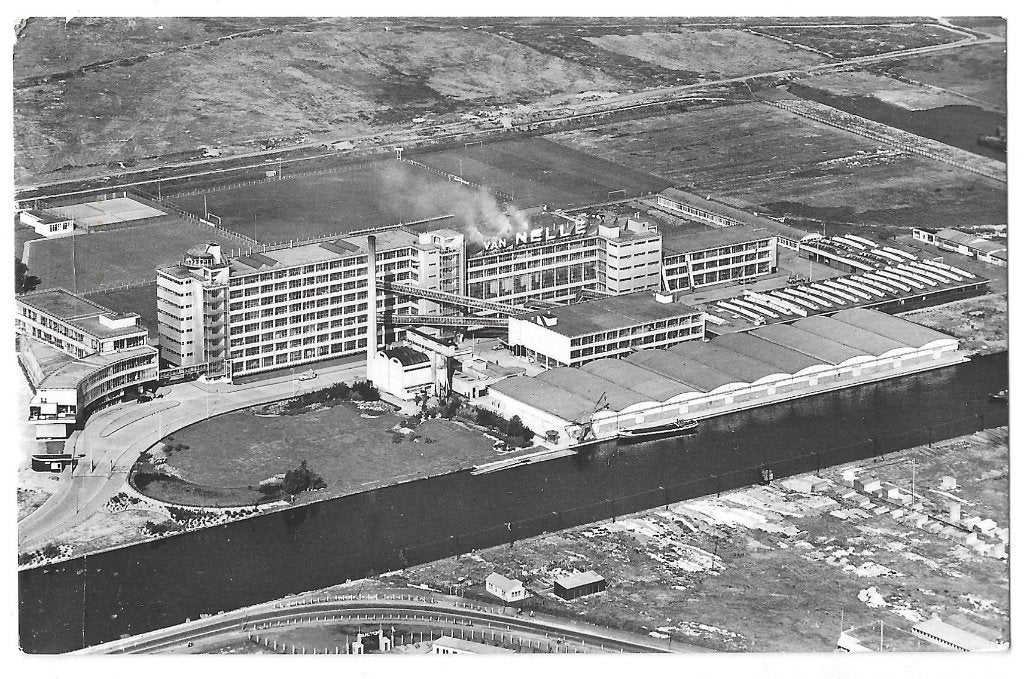 AK Rotterdam - Kantoor en Fabrieksgebouwen de Wed. van Nelle, Verzenden, 1940 tot 1960, Ongelopen, Zuid-Holland
