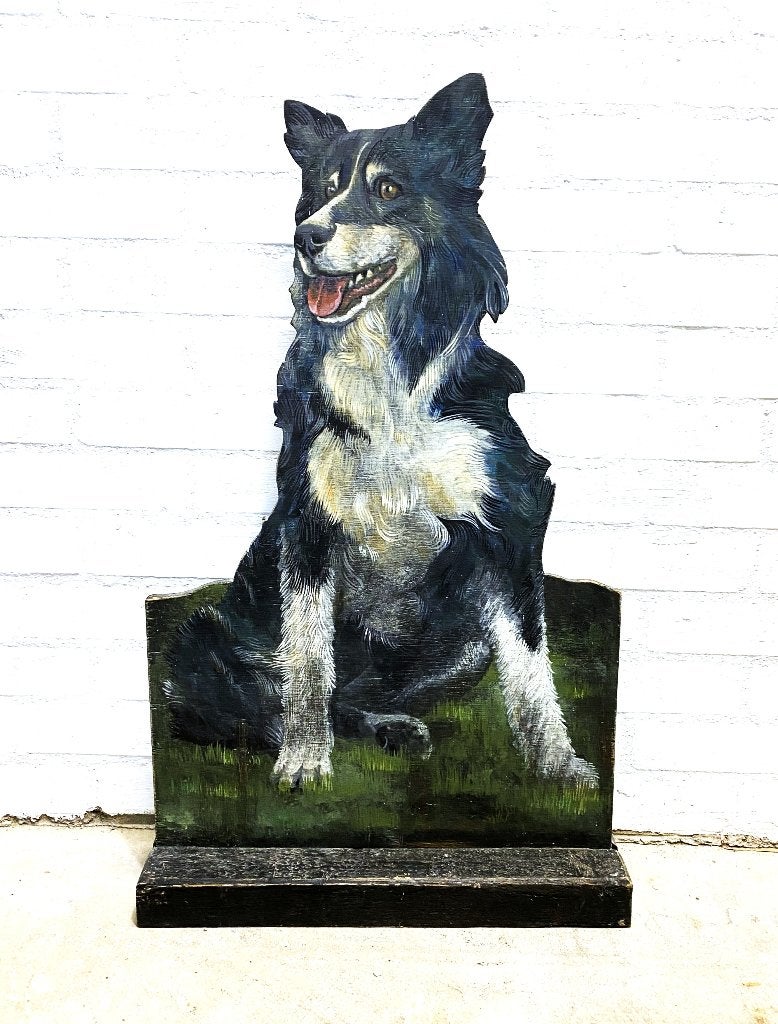 Groot formaat Border Collie, 75 cm hoog., Ophalen of Verzenden