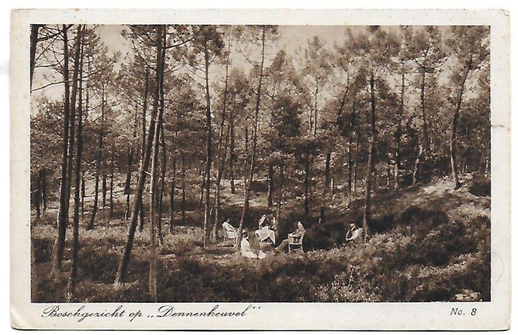 Ossendrecht Dennenheuvel Oude ongelopen Ansichtkaart B1527, Verzamelen, Ophalen of Verzenden, 1960 tot 1980, Gelopen