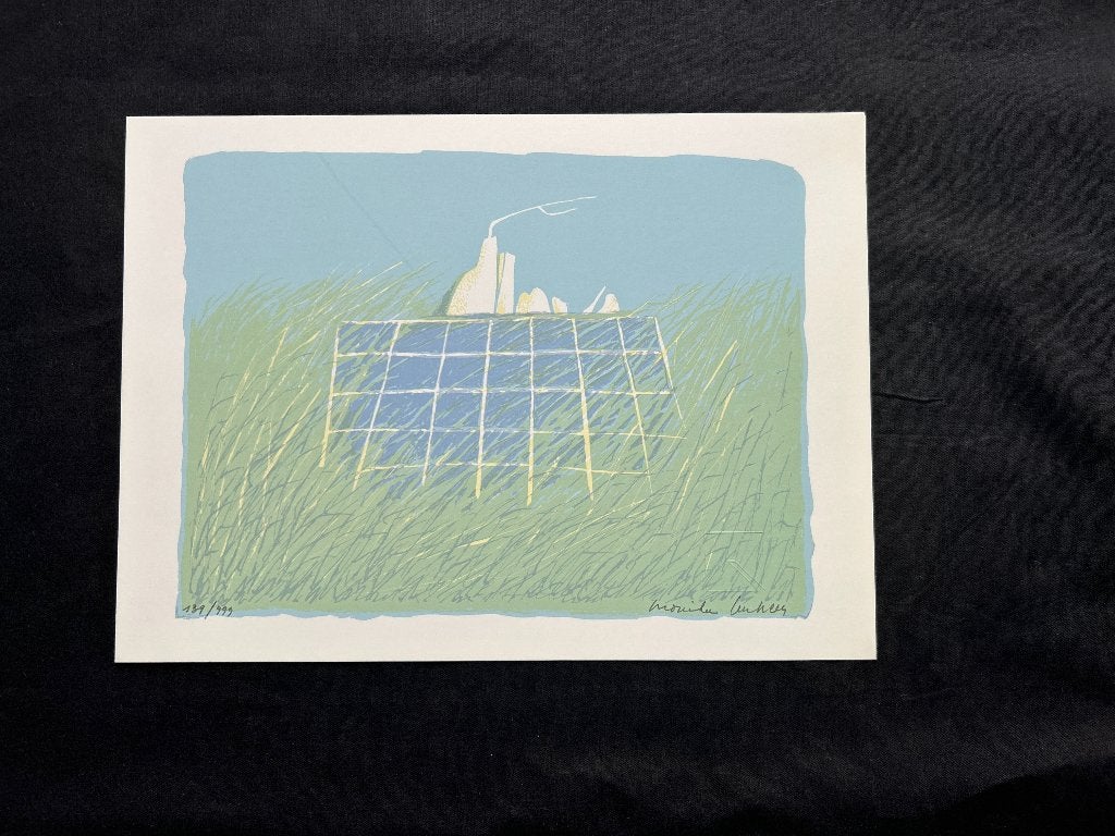 Zeefdruk Monika Lenssen   ZOMEROPRUIMING, Antiek en Kunst, Kunst | Litho's en Zeefdrukken, Origineel, Ophalen of Verzenden, Zeefdruk