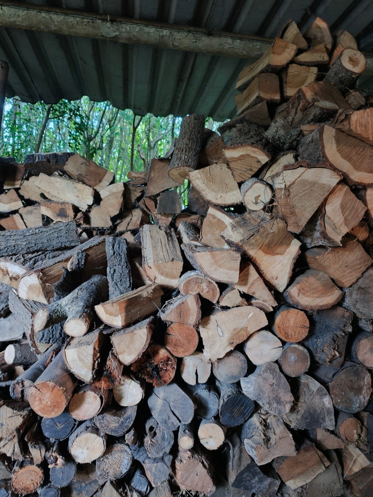 haardhout te koop eik, berk en beuk, Tuin en Terras, 3 tot 6 m³, Ophalen, Eikenhout, Blokken