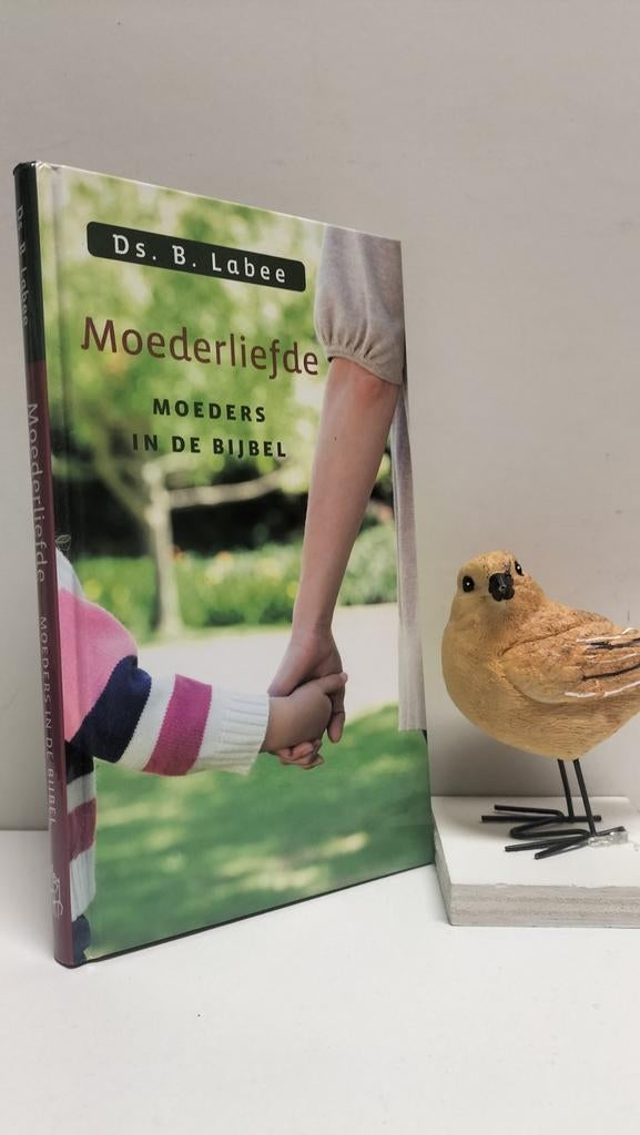 Labee, Ds. B.; Moederliefde, Boeken, Ophalen of Verzenden, Gelezen, Christendom | Protestants