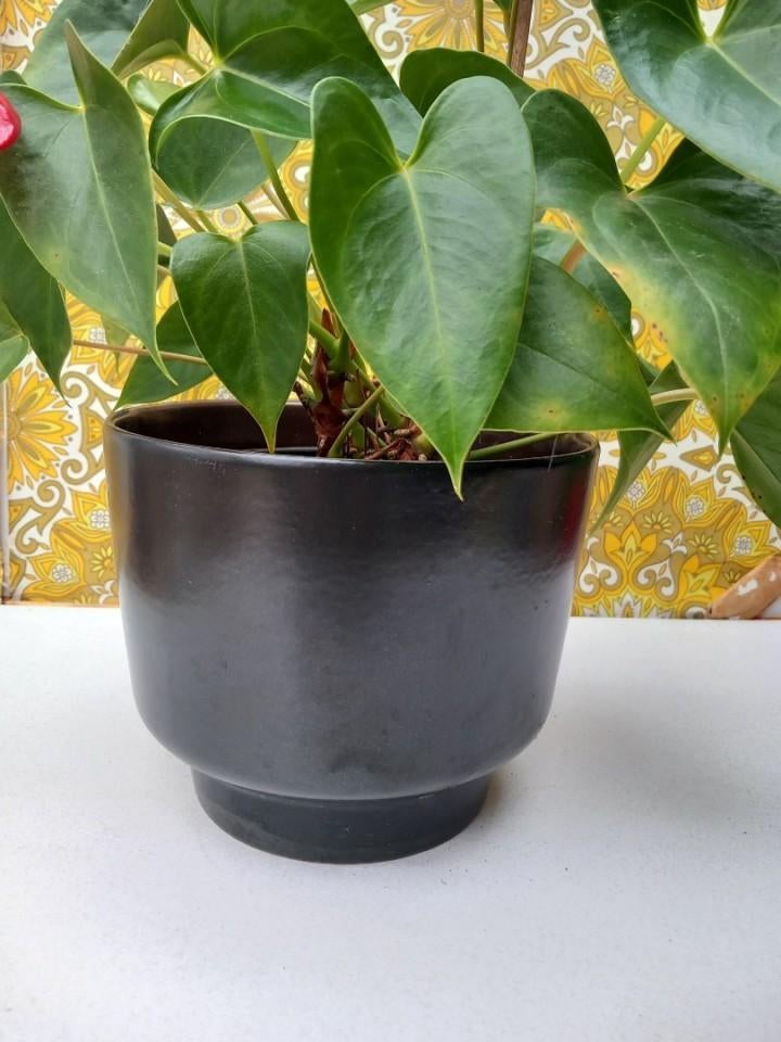 Zwarte Strehla bloempot uit de DDR met unieke fout, Ophalen of Verzenden