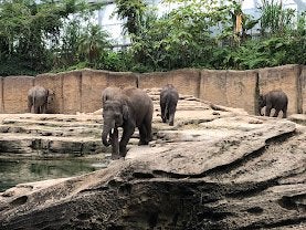 4 Dierentuin tickets voor Wildlands, Tickets en Kaartjes, Twee personen, Ticket of Toegangskaart