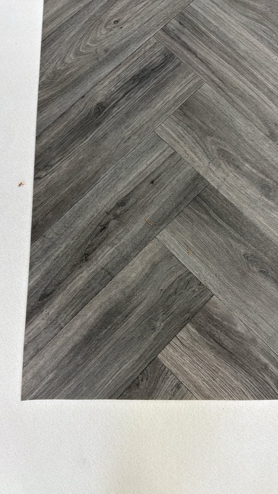 Nieuw coupon vinyl, 3x4m, budget, outlet discount, Novilon, Ophalen, Nieuw, Grijs, Vinyl