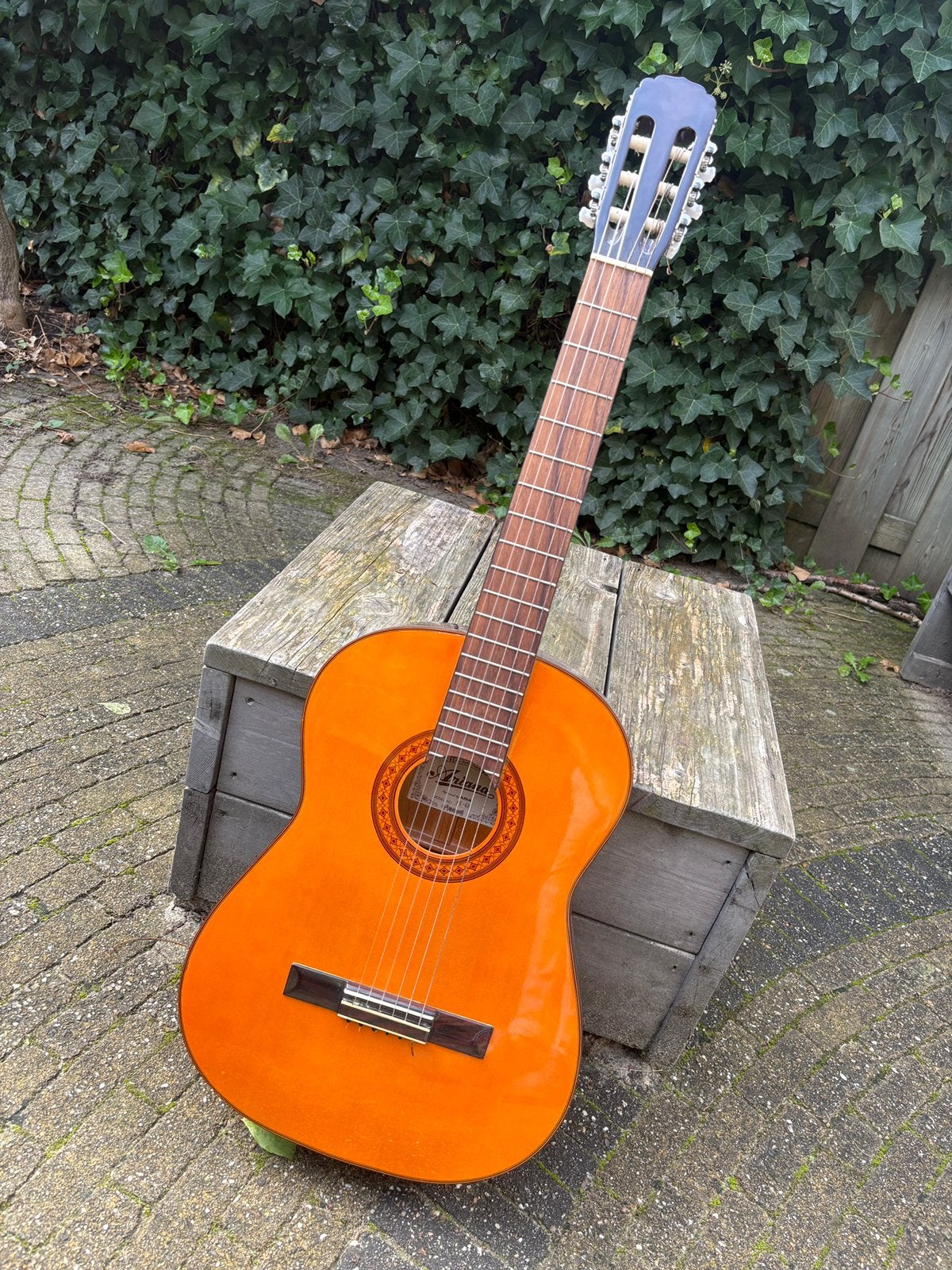 Gitaar akoestisch - Ariana AK 68 - mét hoes, Muziek en Instrumenten, Ophalen, Zo goed als nieuw, Klassieke of Spaanse gitaar