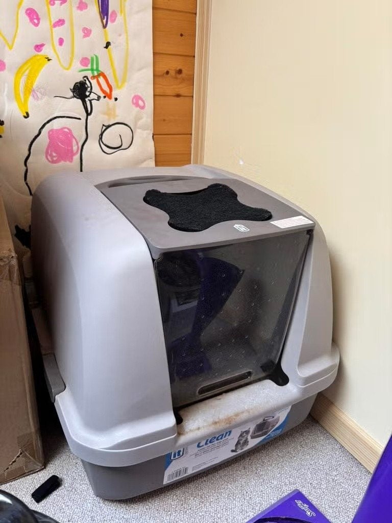 Catit extra grote gesloten kattenbak met deur, Dieren en Toebehoren, Ophalen, Gebruikt