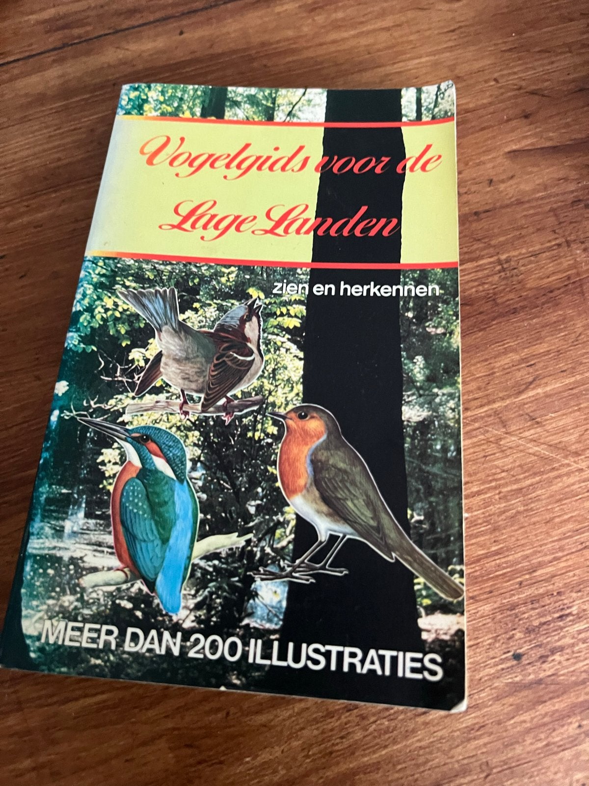 Vogelgids voor de Lage Landen - Zien en Herkennen, Ophalen of Verzenden, Gelezen, Vogels