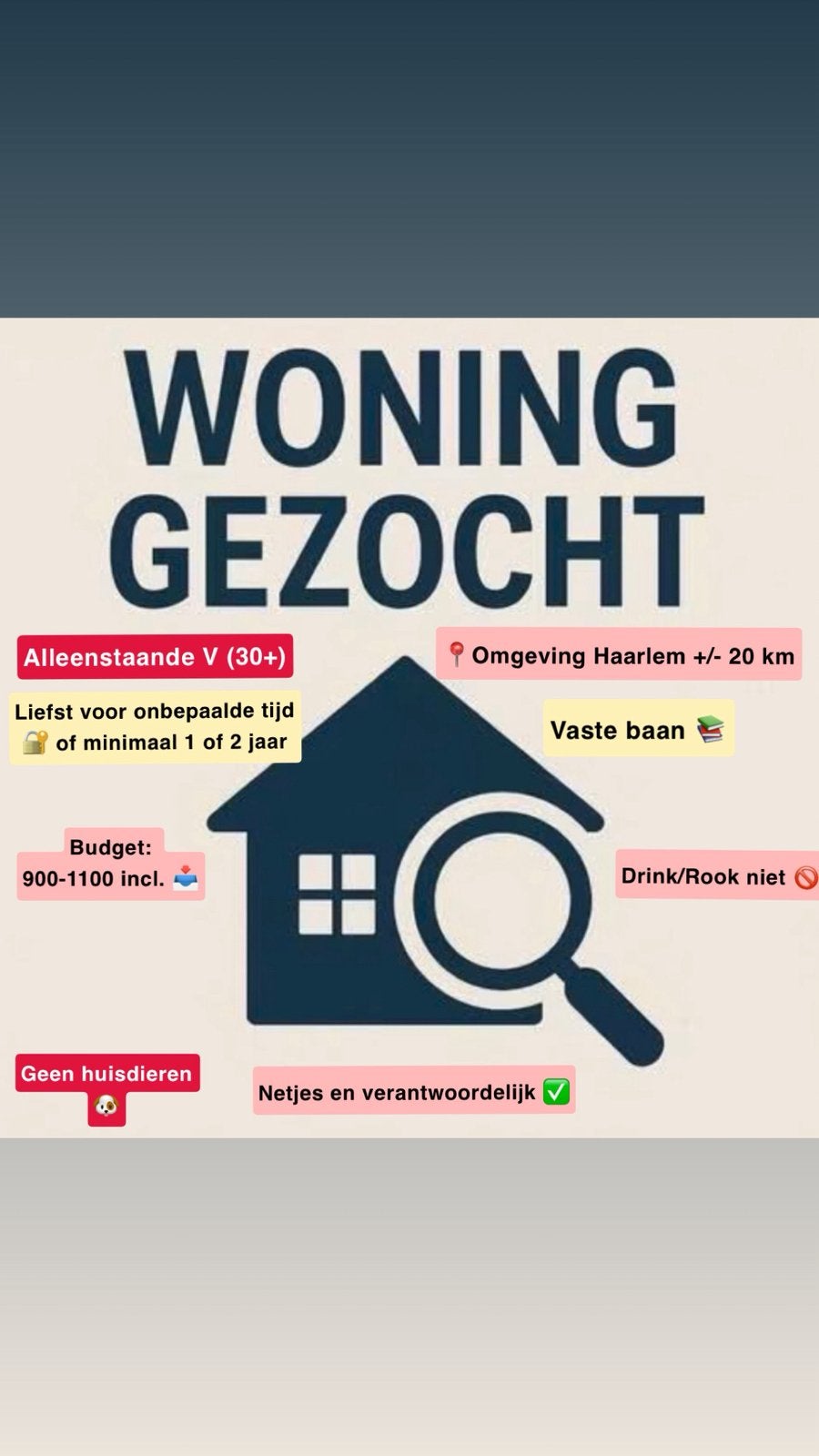 Gezocht: appartement regio Haarlem/Haarlemmermeer, Huizen en Kamers