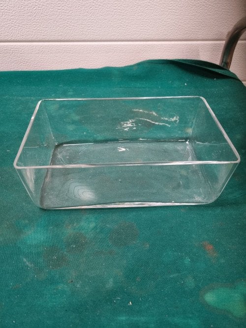 bak glas rechthoekig, Ophalen of Verzenden, 'T Olde Gre-j, Info@toldegrej.nl, Endepoelstraat 20f Didam