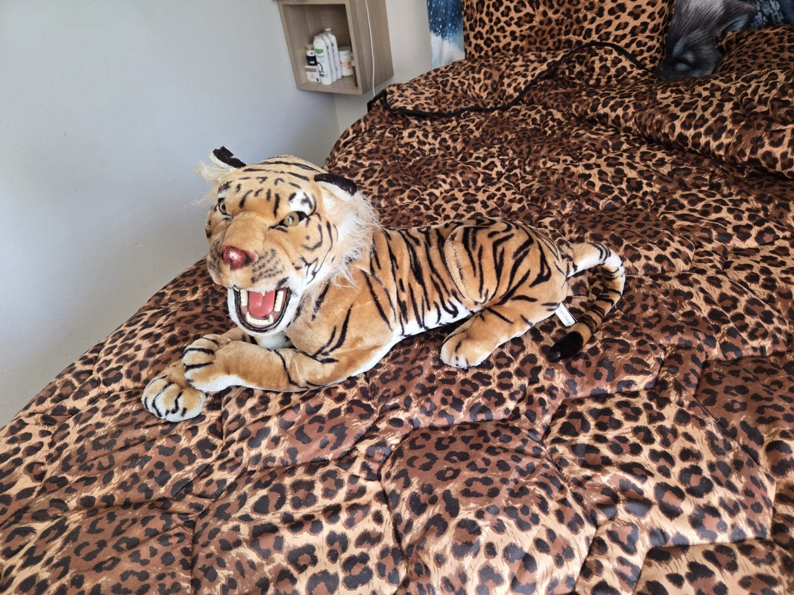 Tijger, Ophalen of Verzenden
