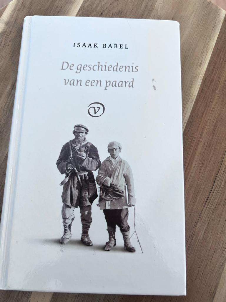 De geschiedenis van een paard - Isaak Babel, Boeken, Literatuur, Zo goed als nieuw, Europa overig, Ophalen of Verzenden