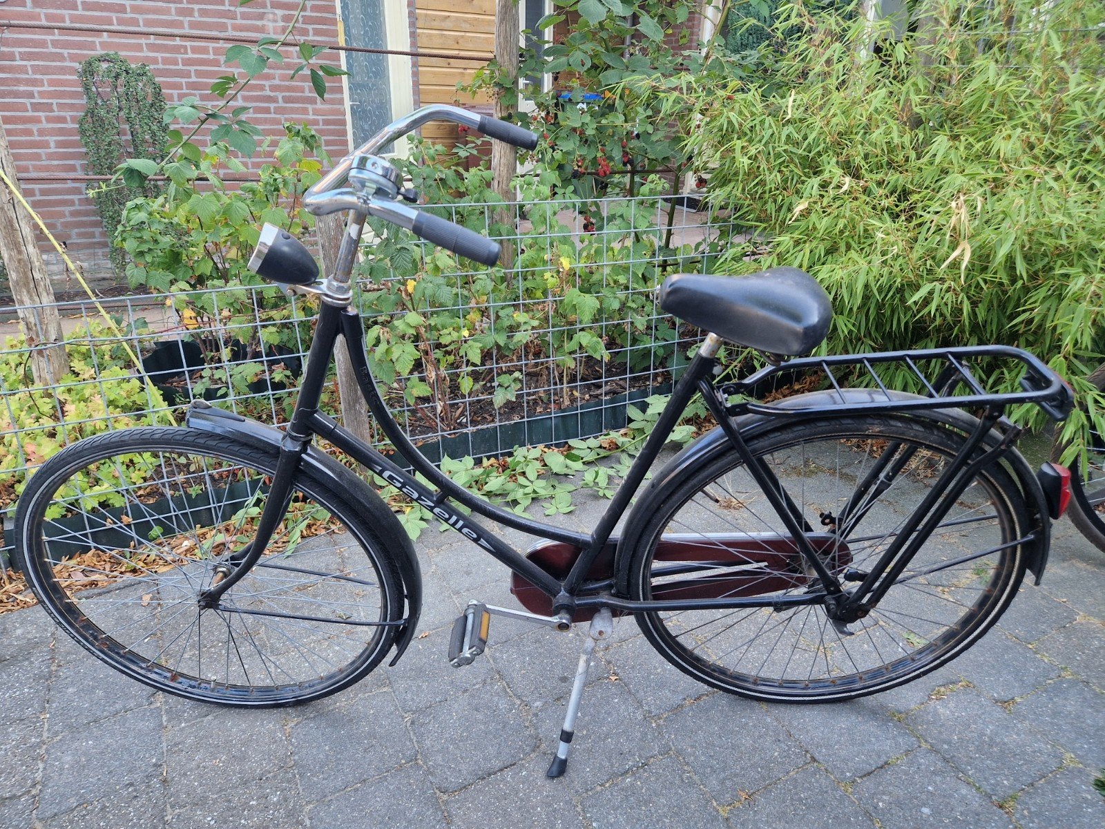 Gazelle basic, Ophalen, Terugtraprem, Gebruikt, 56 cm of meer