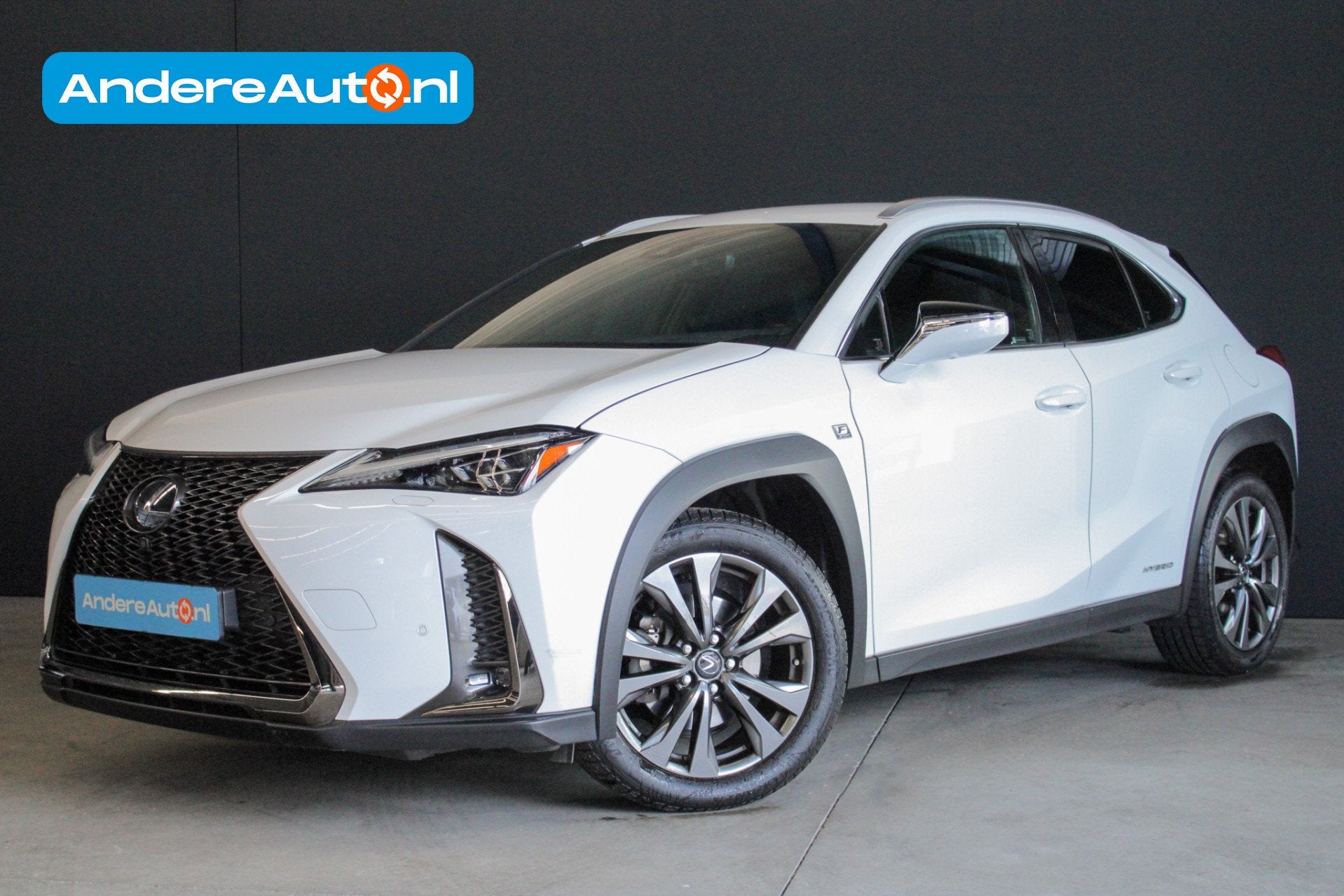 Lexus UX 250h F Sport Premium |dealer onderhouden|leder|elek, Gebruikt, Zwart, 4 cilinders, Wit