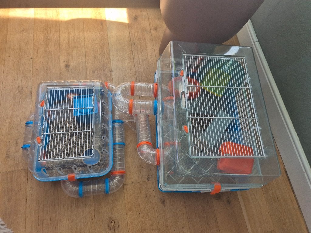 hamster kooi dubbele hok met toebehoren, Dieren en Toebehoren, Minder dan 60 cm, Kooi, Gebruikt, Minder dan 75 cm