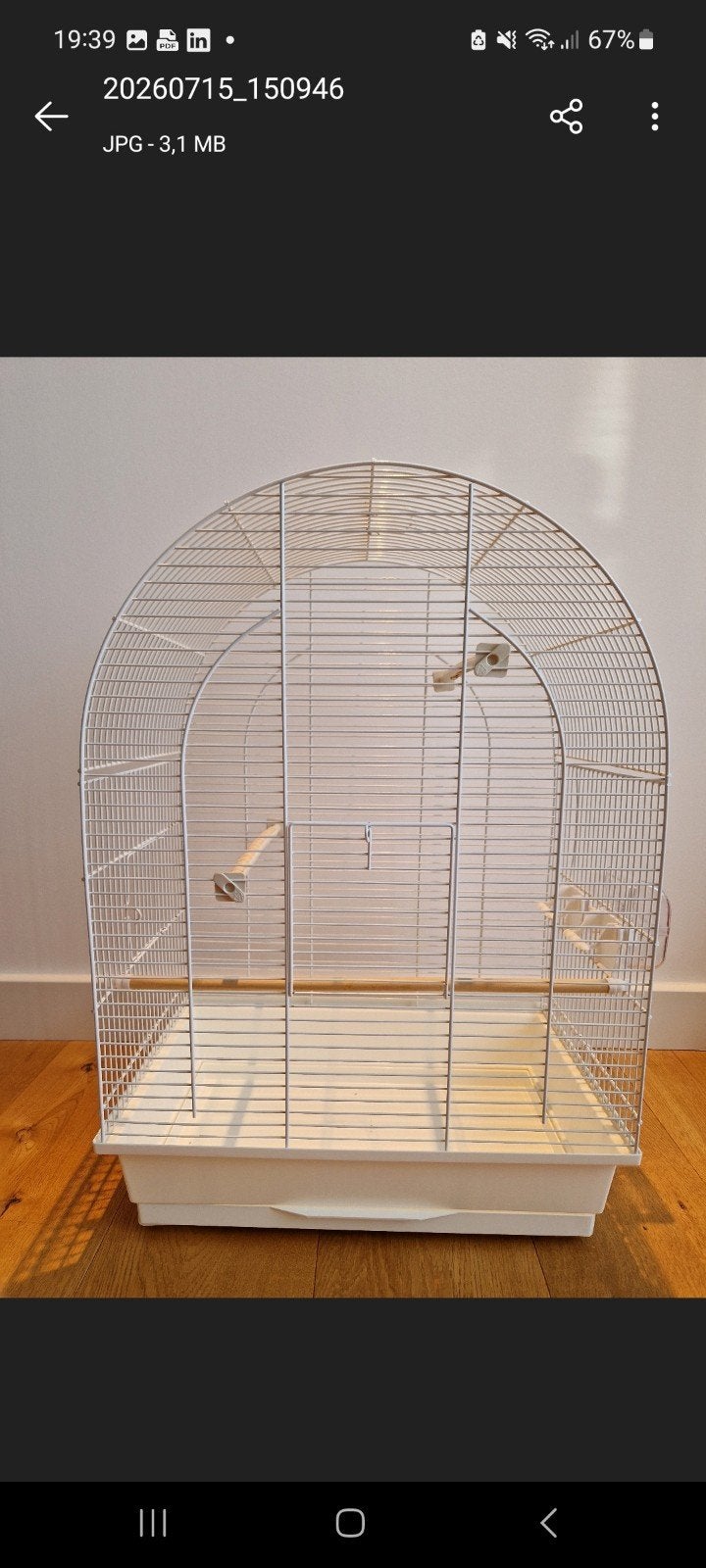 Vogelkooi, Ophalen, Metaal, Vogelkooi