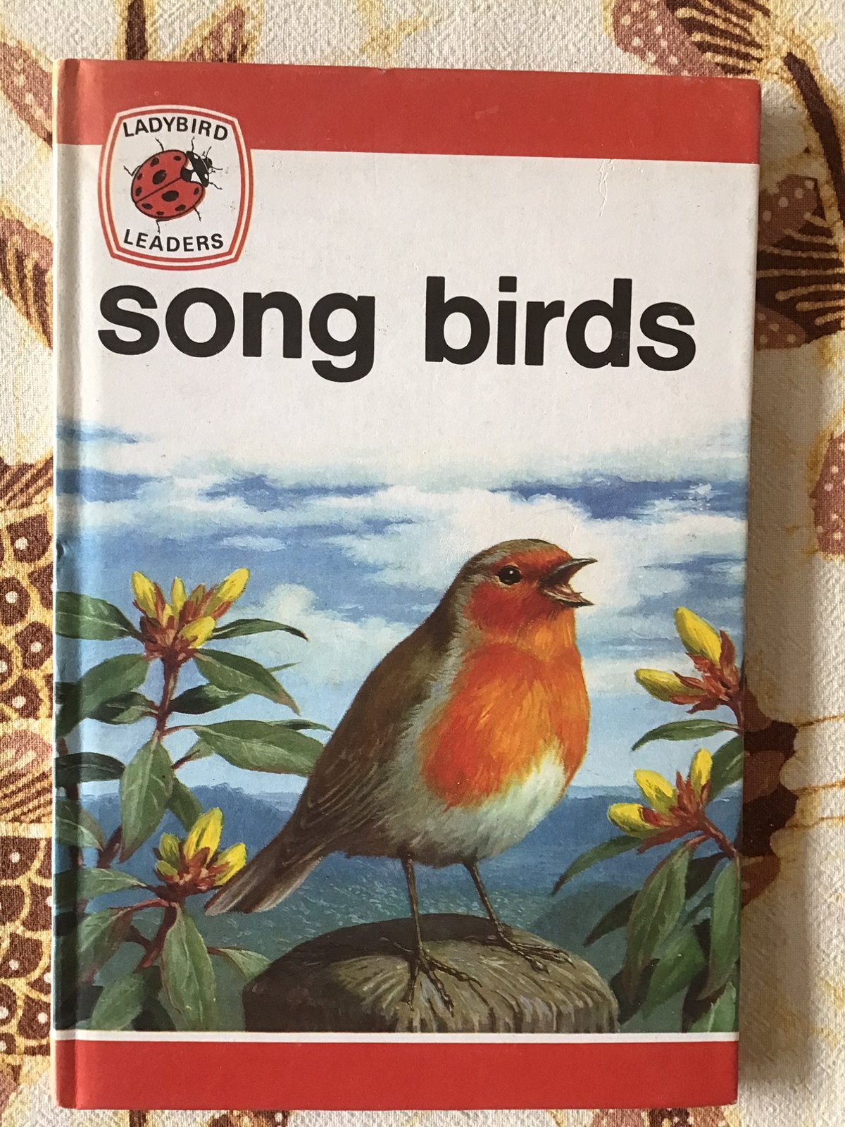 Song birds, engelstalig boekje over tuinvogels, Ophalen of Verzenden, Zo goed als nieuw, Vogels