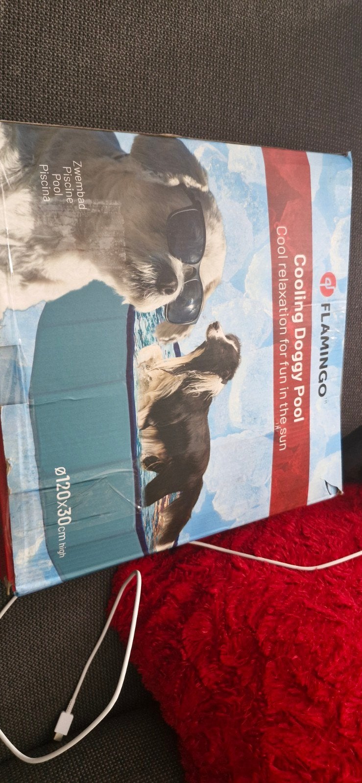 honden zwembad, Overige merken, Ophalen of Verzenden, Nieuw, Overige typen