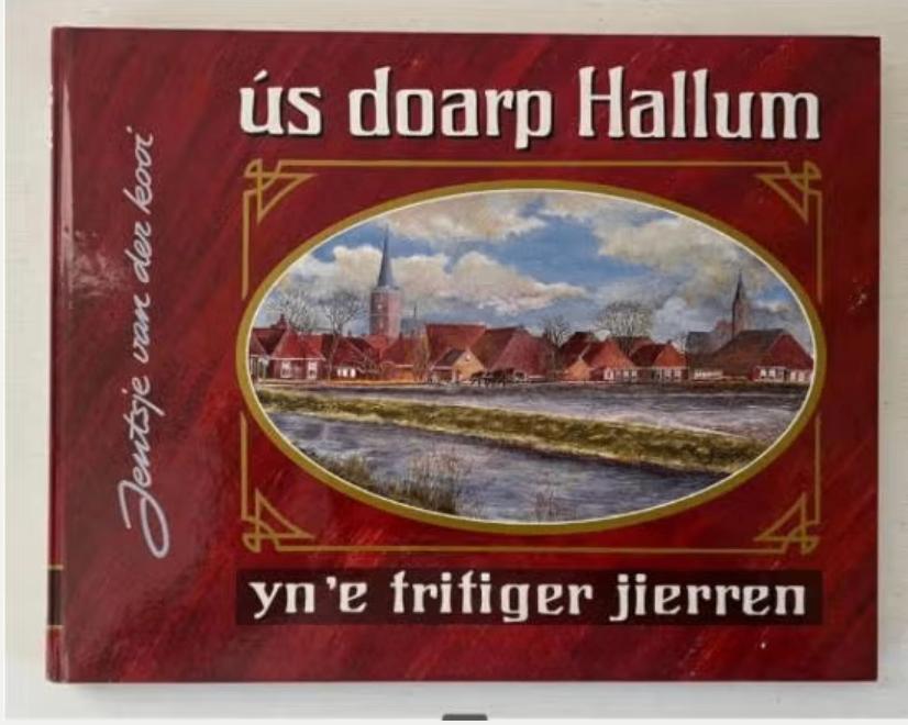 Ús doarp Hallum yn 'e tritiger jierren, Boeken, Geschiedenis | Stad en Regio, Zo goed als nieuw, Ophalen of Verzenden