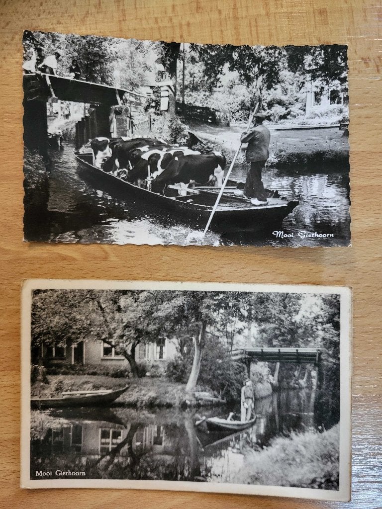 ansicht GIETHOORN Koeien in Boot Boeren (2x), Ophalen, Voor 1920, Overijssel