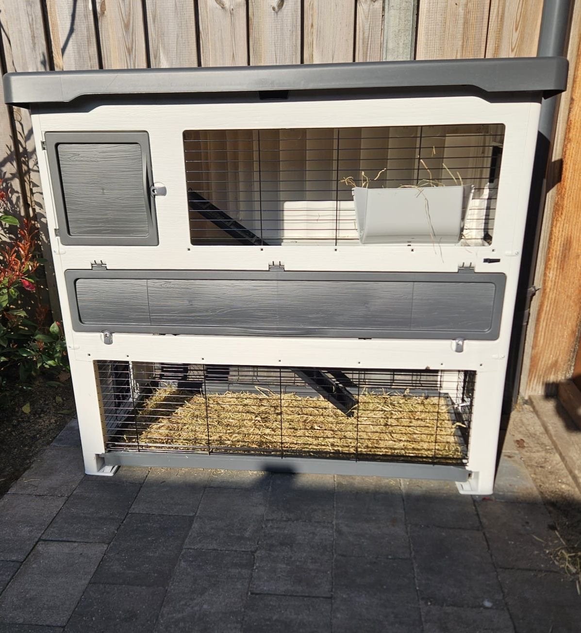 Compleet konijnenhok met 2 konijnen, Dieren en Toebehoren, Ophalen, 110 cm of meer, Hok, 90 cm of meer
