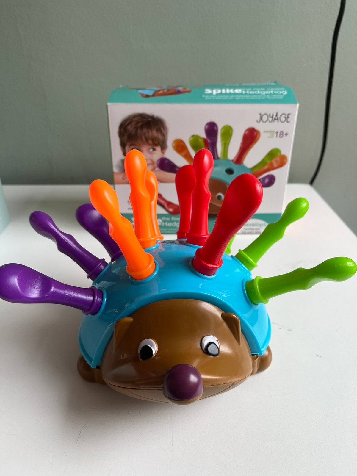 Joyage Montessori speelgoed Egel, Ophalen, Zo goed als nieuw