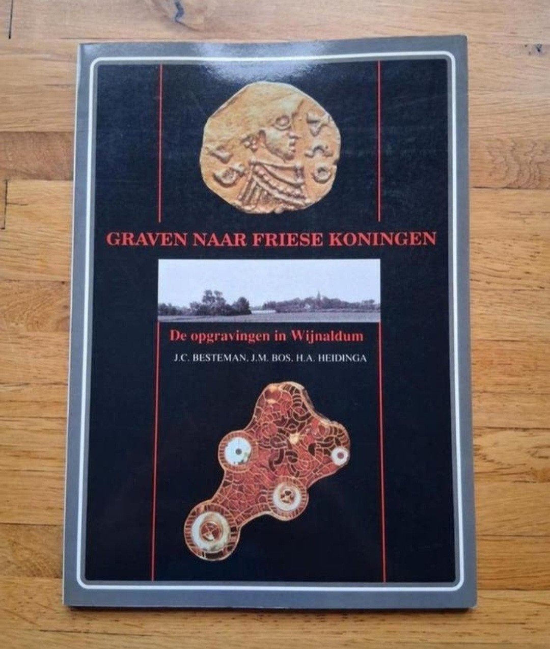 Graven naar friese koningen
de opgravingen in Wijnaldum, Ophalen of Verzenden, Zo goed als nieuw