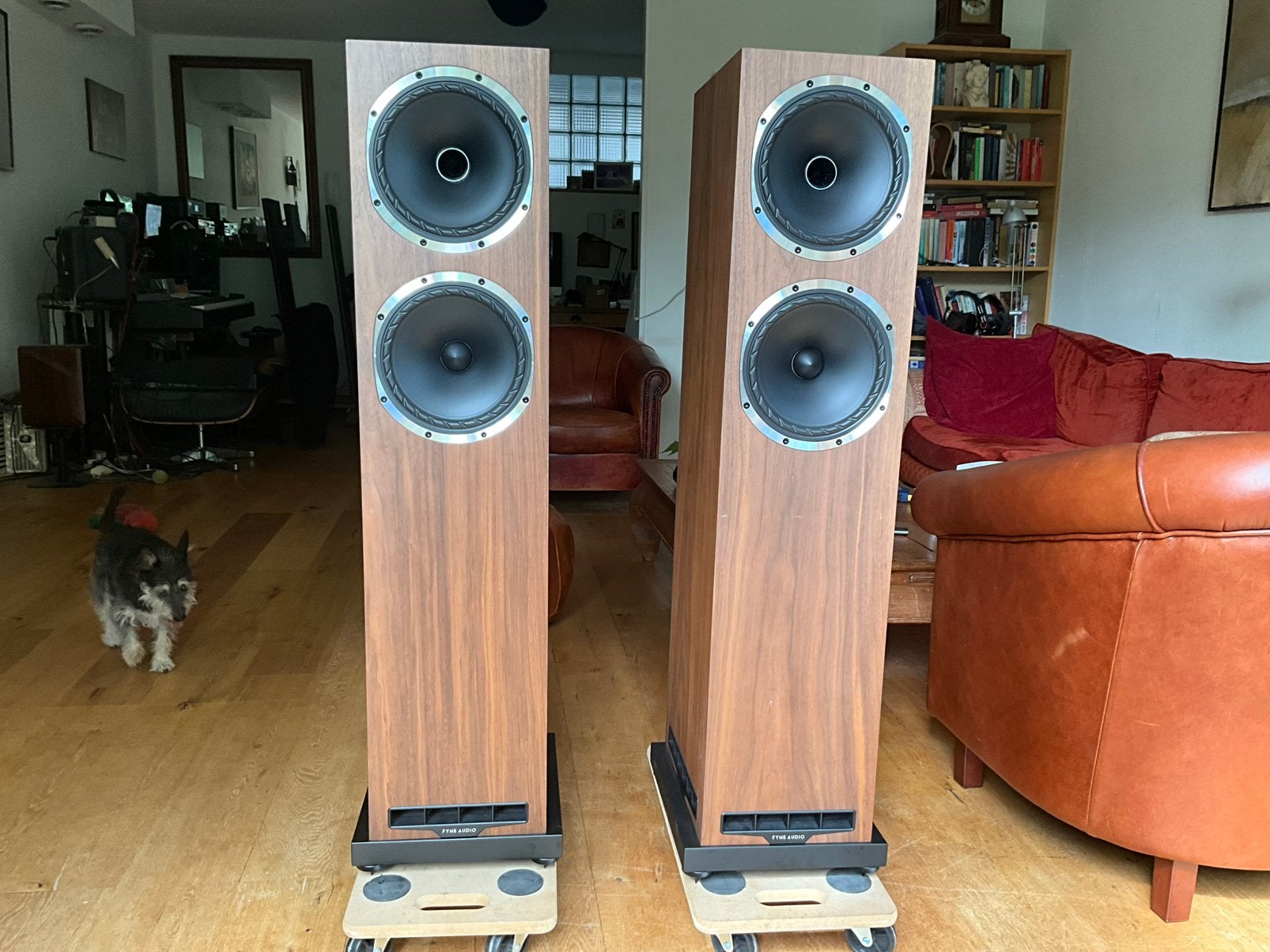 Fyne audio F 502 S
