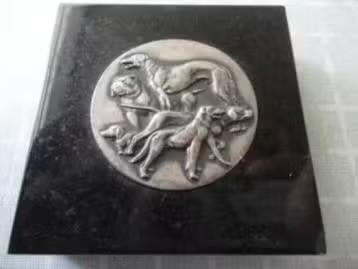 medaille in case, Kynologenvereniging jachthonden., Verzenden, Overige materialen, Nederland