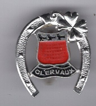 Clervaux wapen in hoefijzer zilverkl broche ( N_203), Verzenden, Zo goed als nieuw, Transport, Speldje of Pin