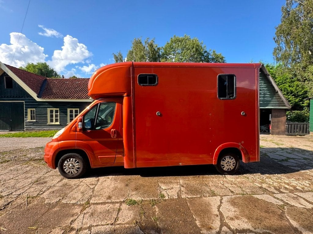 Peugeot Boxer 3.0 HDi Paardenwagen | 2010 |196k KM, Ophalen, Gebruikt, Polyester, 2-paards trailer