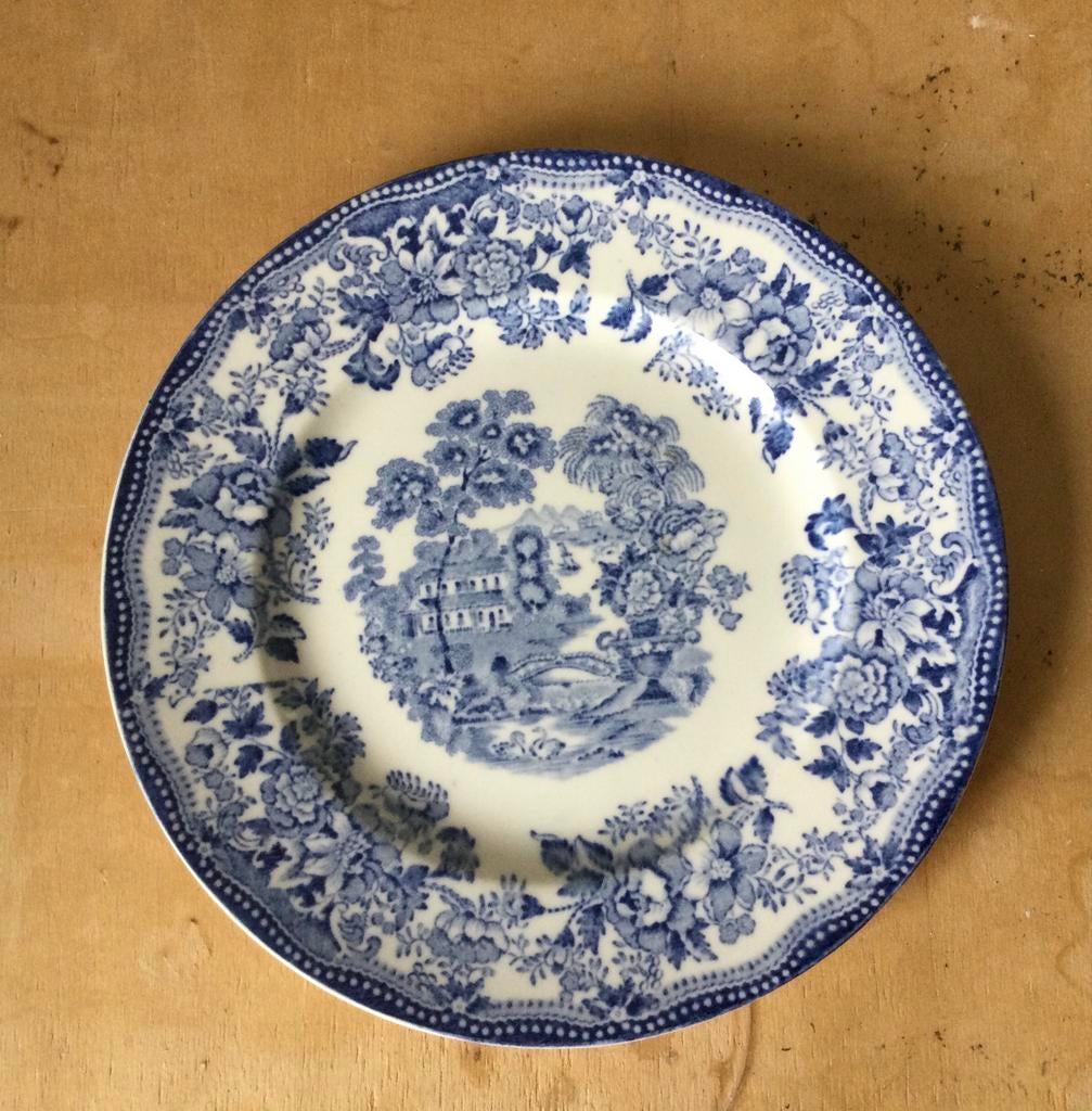 Handgeschilderd bord Tonquin Meakin Staffordshire Engeland, Ophalen of Verzenden