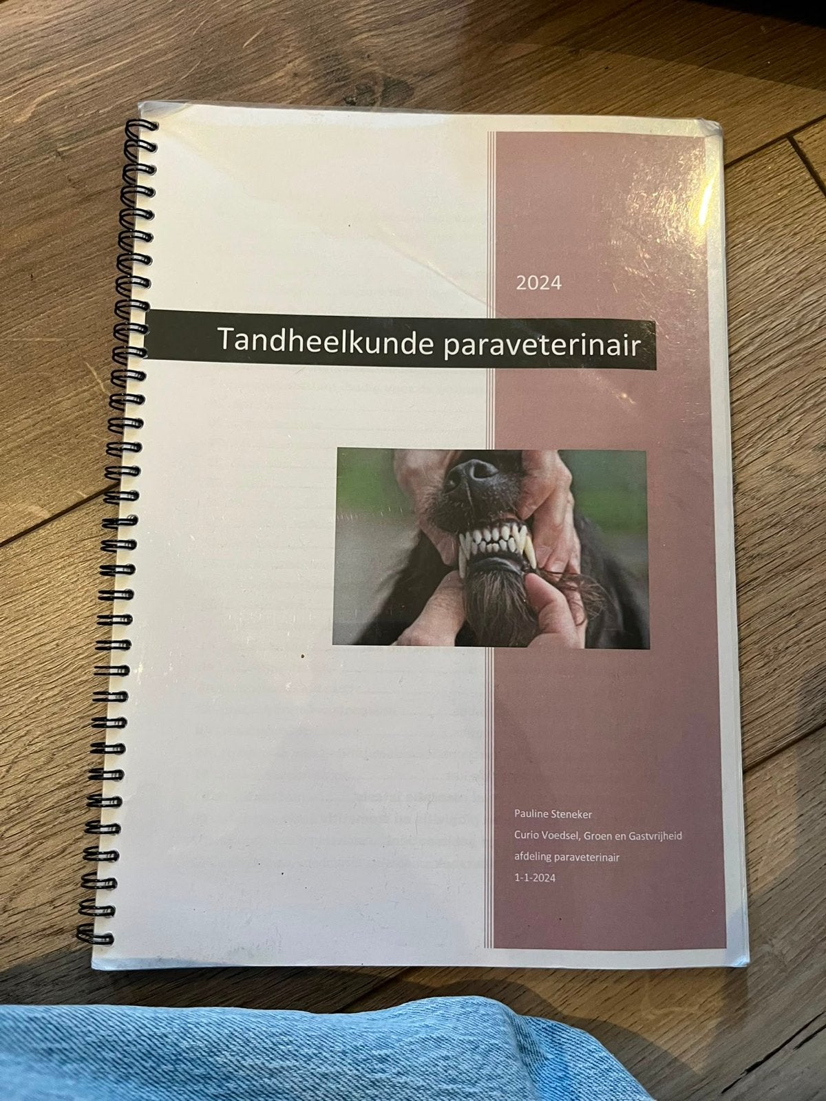 Tandheelkunde paraveterinair 2024 - Pauline Steneker, Ophalen of Verzenden, Beta, Zo goed als nieuw, MBO