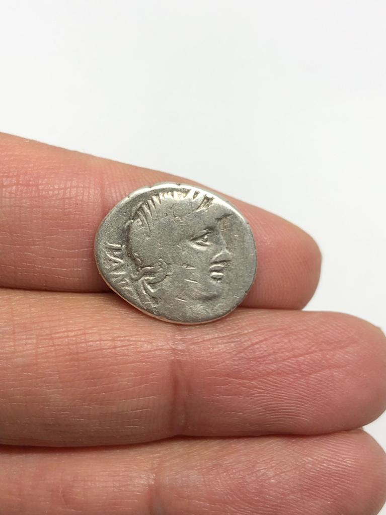 Romeinse Republiek, C. Vibius C.f. Pansa, Denarius, 90 BC, Postzegels en Munten, Munten | Europa | Niet-Euromunten, Verzenden