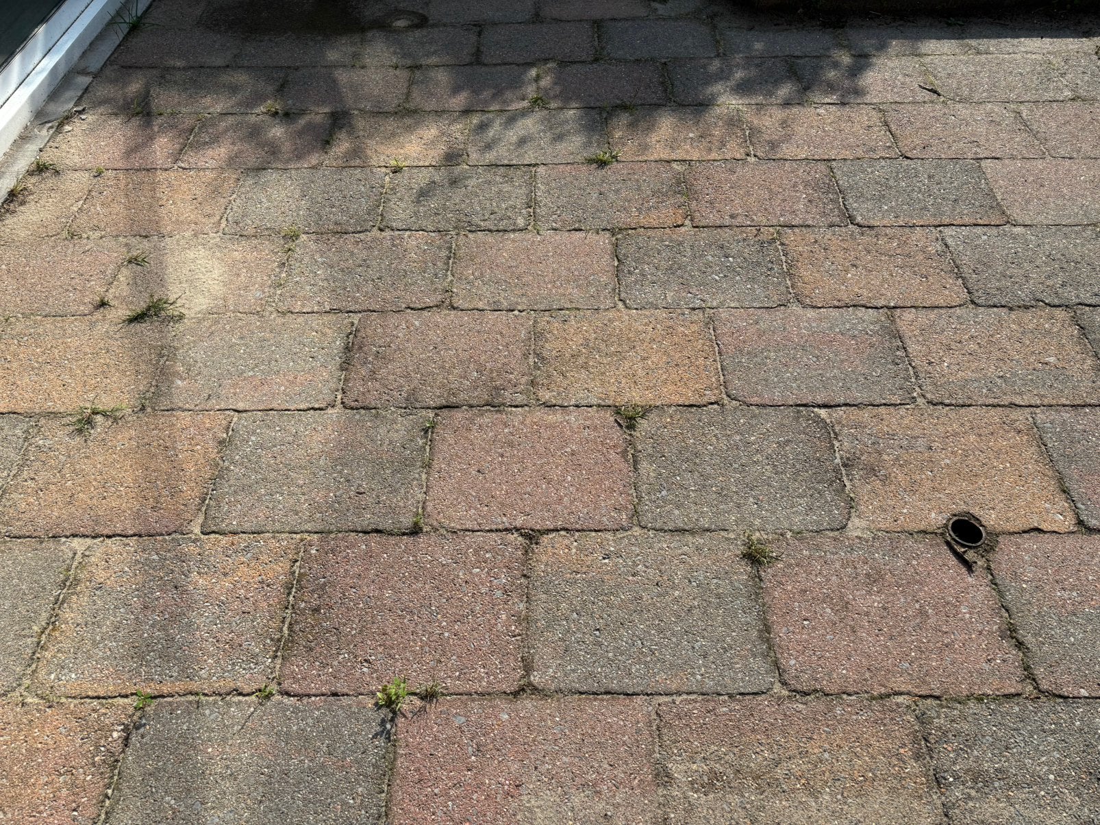 Betontegels (gratis), Tuin en Terras, Ophalen, Gebruikt, 10 m² of meer, Beton