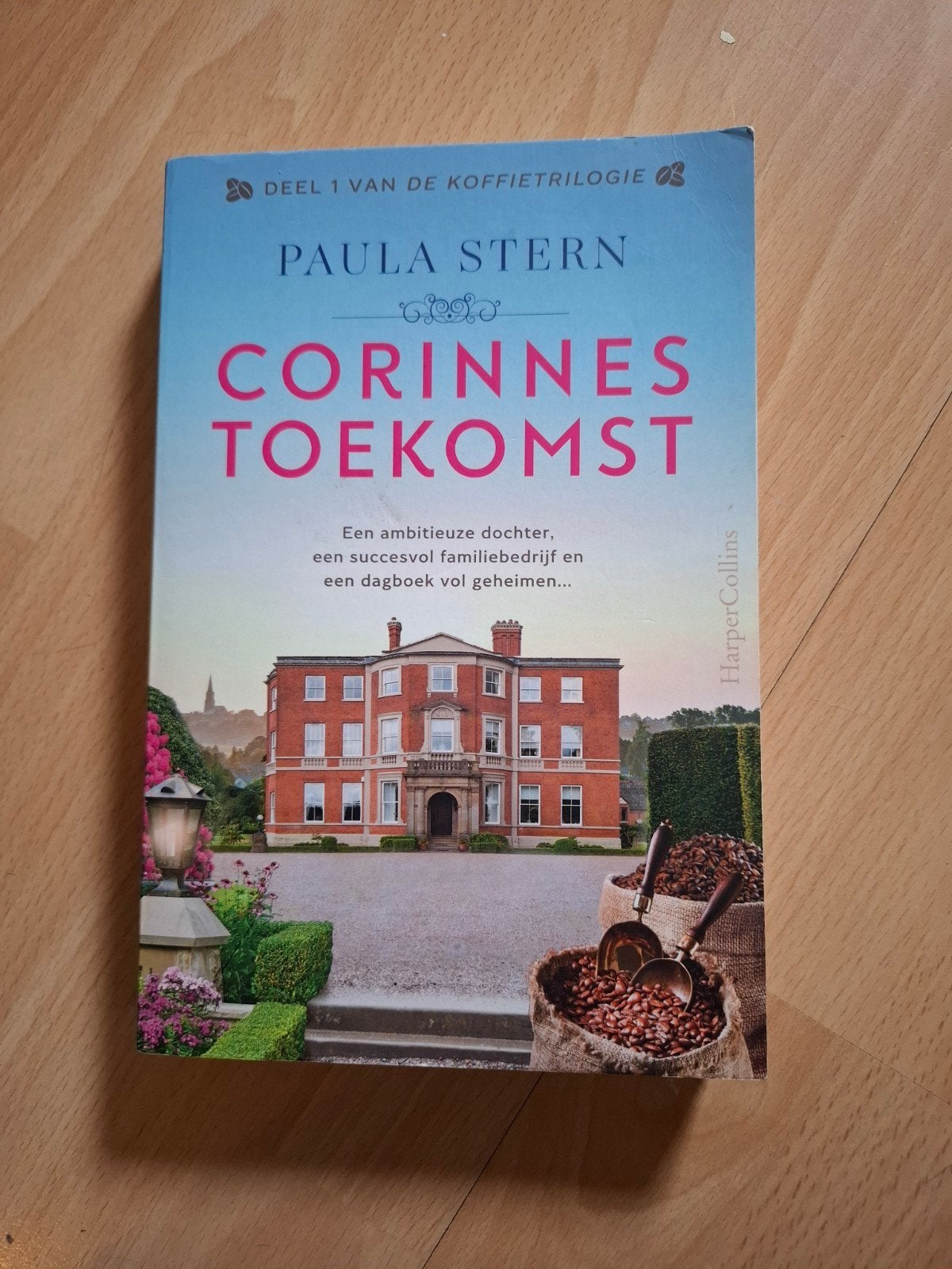 Paula Stern Corinnes toekomst, Boeken, Ophalen of Verzenden, Zo goed als nieuw