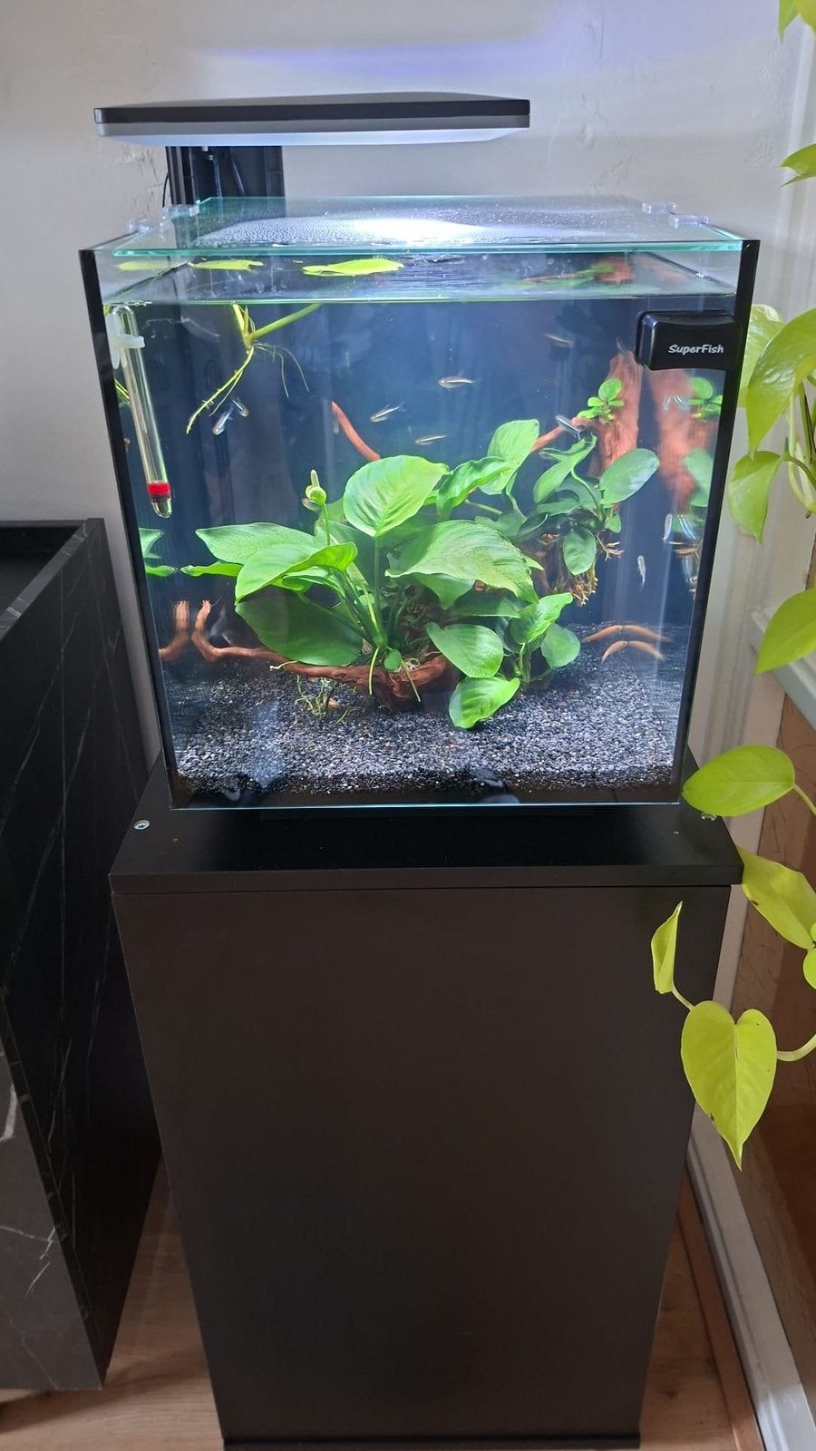 Superfish Cubiq 30 pro 1 dag oud met bon, Ophalen, Nieuw, Leeg aquarium, Inclusief deksel