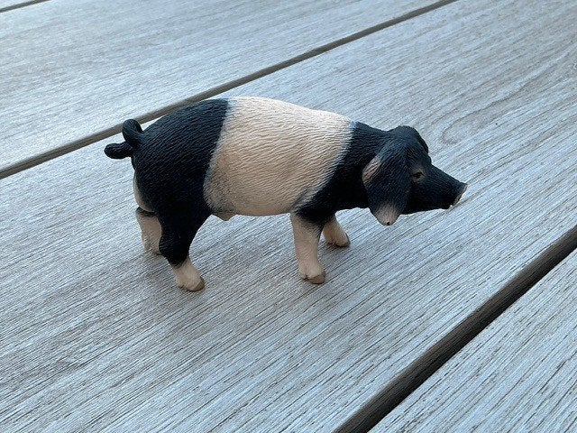 Schleich 13643 Zwabische Hall beer (varken), Verzamelen, Dierenverzamelingen, Ophalen of Verzenden, Zo goed als nieuw, Boerderijdier