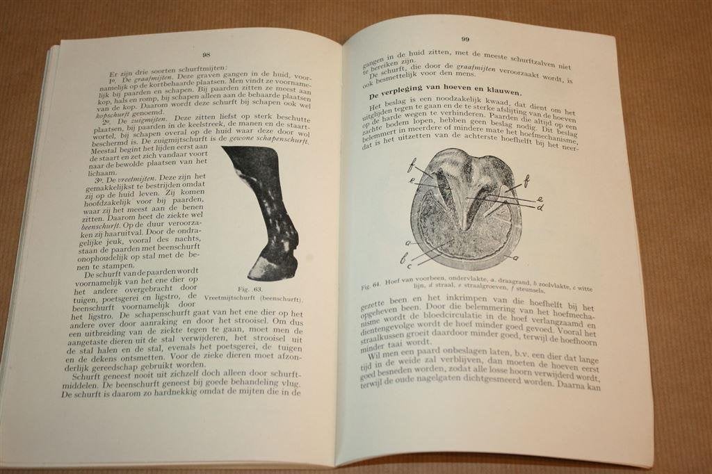 Gezondheidsleer der huisdieren. Luxwolda. 1936., Ophalen of Verzenden, Gelezen, Katten