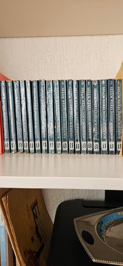 Sesam Wereldgeschiedenis boekenreeks, Boeken, Ophalen of Verzenden
