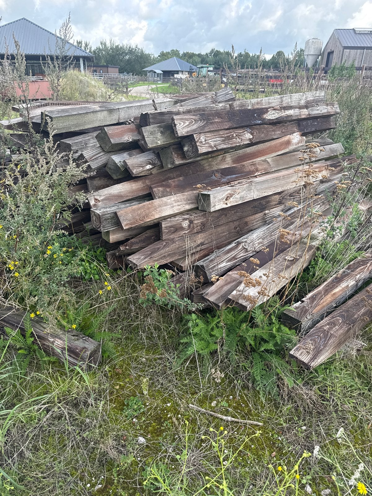 Gepunte weidepalen 2 meter - 10x10 en 12x12, Tuin en Terras, Ophalen of Verzenden, Gebruikt, 180 tot 250 cm, Palen