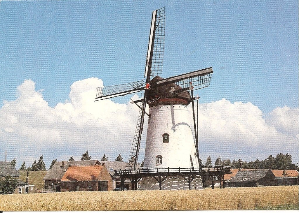 Ansichtkaart Korenmolen De Korenbloem Scherpennisse Tholen, Verzamelen, Ophalen of Verzenden, 1980 tot heden, Ongelopen, Zeeland