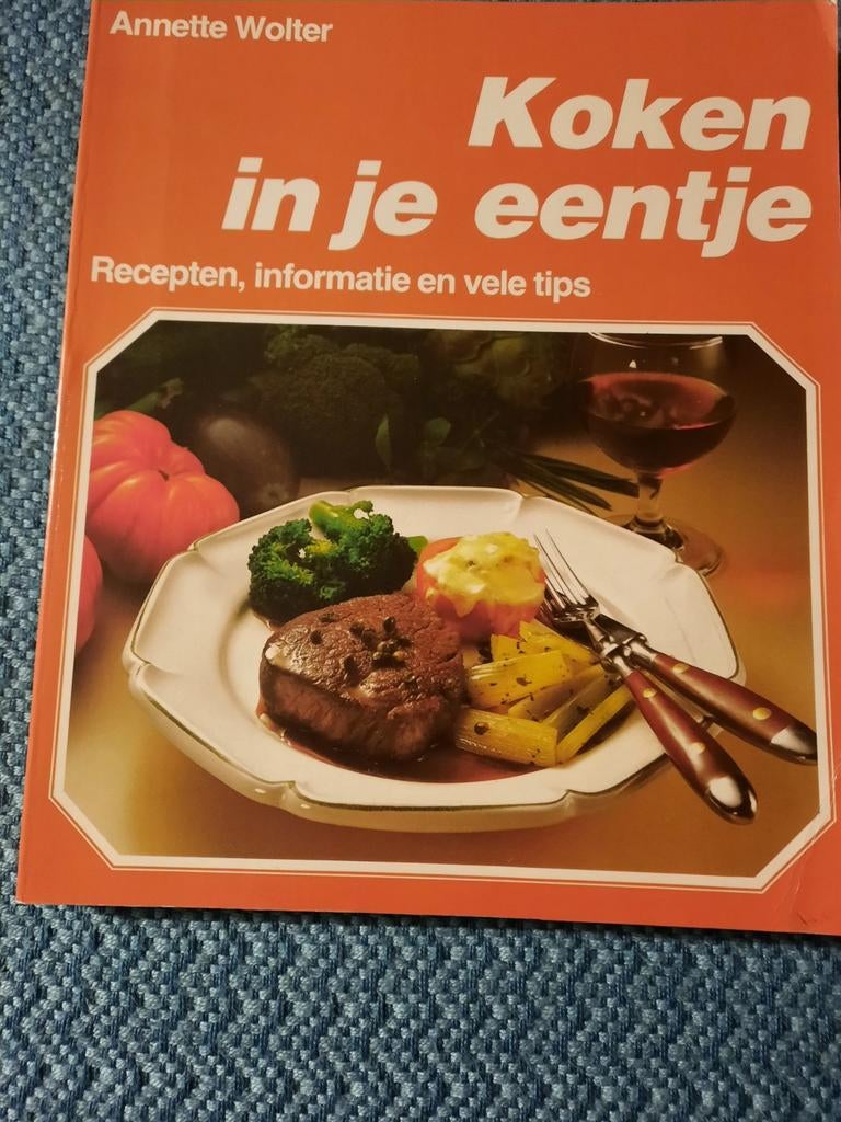 Koken in je eentje - Annette Wolter kookboek, Boeken, Gelezen, Ophalen of Verzenden, Overige gebieden, Hoofdgerechten